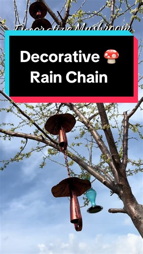Mushroom Rain Chain! This rain chain is more for decor than function. It love mushroom decor of any kind, and this looks so neat hanging from my tree 🍄 #mushroom #mushroomdecor #mothersdaygiftideas #tiktokshopcreatorpicks #springglowup