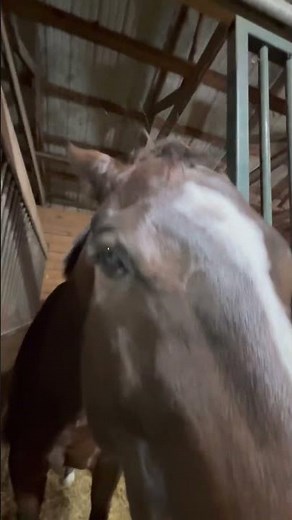 relax and enjoy some jackie poo asmr 😌