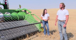 Montana Ag Network: Cornell University students tackle Montana wheat harvest
