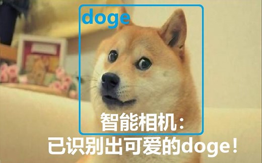 【深度学习】Mask R-CNN模型开源项目解读，目标检测 物体检测 RCNN框架训练