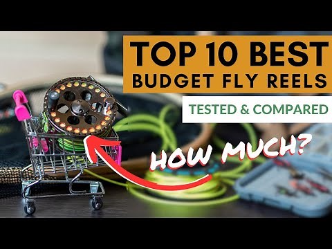 10 Best Budget Fly Reels (Reviewed & Compared)