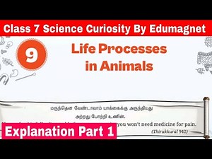NCERT Class 7 Science Curiosity Chapter 9 Life Processes in Animals | Part 1 | EDUMAGNET