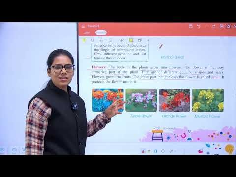 Science 3 ch 8