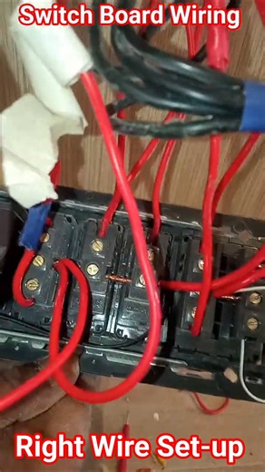 Switch Board Wiring | Board Wiring 👷 #shorts #board #electric #switch
