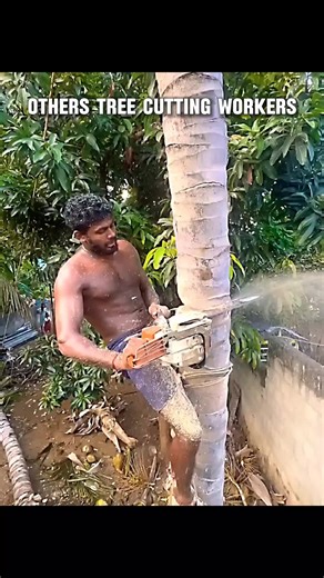 #MovieExplanation #MovieStory #FilmRecap #MovieReview #ShortMovieClip | movies clips