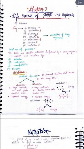 Life processes | Class 10th biology chapter 1 | Handwritten notes with pdf | #notes