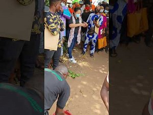 How to Use CHC Agritech Probiotics for Poultry and Livestock