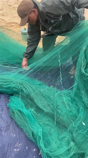 Hốt chứ bắt gì nữa 😁 | Sĩ Minh Trần