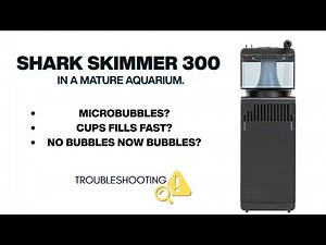 Microbubbles & Skim trouble: Shark Skimmer 300 Fix (Mature Aquarium)
