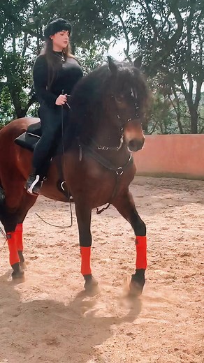 Russian Horses: The Beauty of Andaluz Horses in Russia