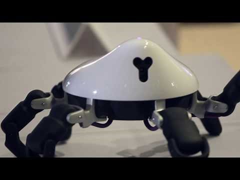 Introducing HEXA: programmable, highly maneuverable robot