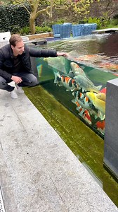 1.5M views · 30K reactions | Check Out This Peaceful Garden Koi Pond Setup ‍♂️殺 | The Koi Partner | Facebook