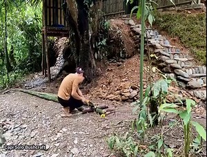 How to make homemade bamboo cabinets, live with nature | Capi Solo Bushcraft