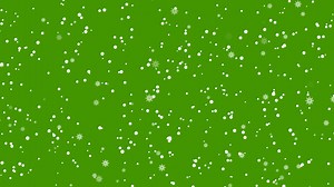 Download Snowfall with Snowflakes dropping down animation on green screen. Winter snow white a falling down overlay 2d cartoon animation. winter heavy snowfall storm. for free