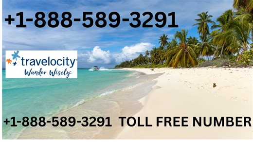 Travelocity® Customer Service Official Guide -- Step-by-Step Help & Support & Service for Travelocity®