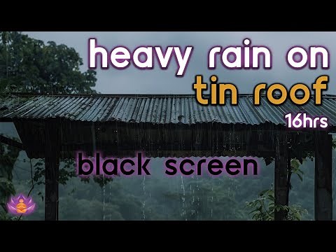 [Black Screen] Heavy Rain on Tin Roof | Rain Ambience | Rain Sounds for Sleeping