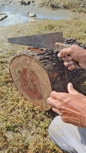 wooden tyre for jungle survival 😎