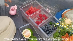 Ice Chilled Condiment Caddy with 4 Containers (2.8 cup), Condiment Server with Separate Lids, ice chilled party platter Container for Fruit,Salad, Nuts, Candy, Snack, Taco Bar Serving Set for Party