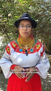 🌱 Kelly Ulcuango, de la Universidad Intercultural de las Nacionalidades y Pueblos Indígenas @uamawtaywasi 🌞se suma al Mapeo de Experiencias Agroecológicas. 🗺️📍 🎓 Desde los espacios de formación, invita a universidades y procesos educativos 📝 vinculados con la agroecología a ser parte de esta iniciativa impulsada por el Colectivo Agroecológico del Ecuador, que construye puentes para fortalecer los territorios. 🌍🌱 ¿Y tú, ya te mapeaste? 🌈 🔗 Súmate aquí: https://agroecologiaemrede.org.br/