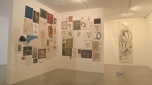 Artista plástico Fernando Zarif exibe obras em Ribeirão Preto, SP