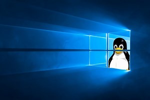 La última build de Windows 10 llega con la esperada actualización del kernel de Linux vía Windows Update
