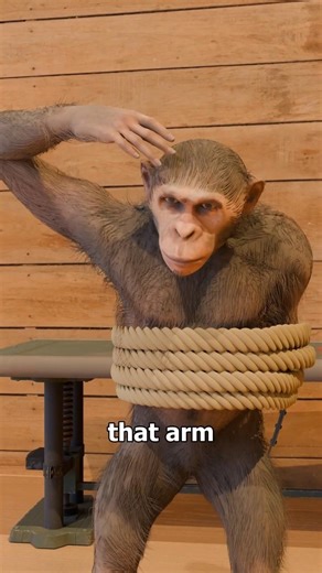 The Paralyzed Monkey Experiment 🐵