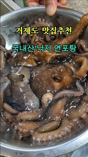 국내산 대왕 낙지로 만든 보양식 낙지연포탕 #거제도 #낙지 #낙지탕탕이 #연포탕 #낙지요리