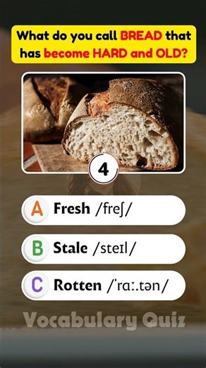 🍞 What do you call bread that has become hard and old? #englishvocabulary #quiz #foodspoiled