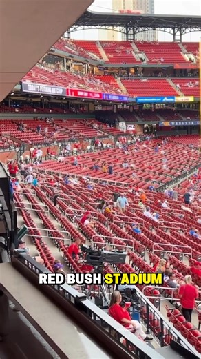 St. Louis: Baseball Heaven 🙌 | STL Cardinals Fans Unite