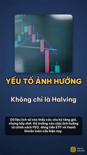 Bitcoin Halving là gì? Giải mã chu kỳ thị trường 4 năm một lần