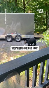 564K views · 6.8K reactions | Run and lock the doors...  | Memezar | Facebook