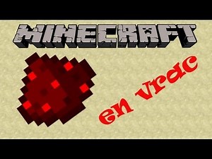 Redstone en vrac ! Ep 11 (final)