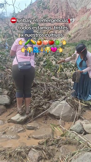 Tree Planting for a Greener Future