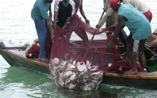 Illegality at Sea: 94% of fishers register declining catches – Report