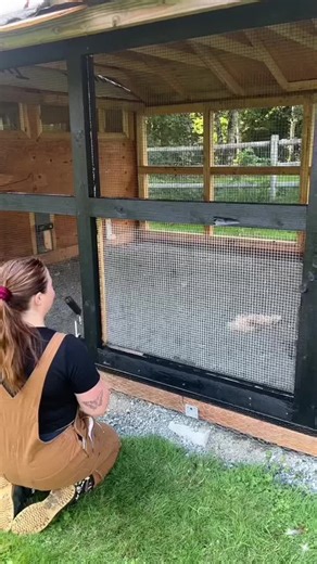 Engaging Texting Stories with Rizz App Insights