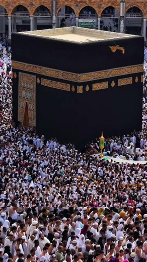 surah at teen best recitation #quranrecitation #qurantilawat #tilawat #surahteen