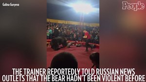 Russian Handler Survives Mauling by Circus Bear