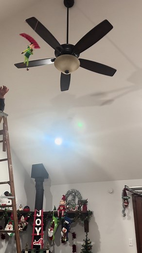 Daryl the Elf Fail Compilation | Hilarious Elf on the Shelf Mishaps