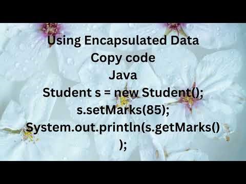 Java Encapsulation & Abstraction Explained Super Easily