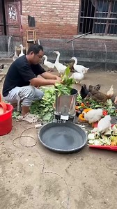 3.6M views · 23K reactions | FOOD CHOPPER MACHINE > Mashine ndogo ya...