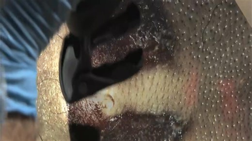 9.1K views · 94 reactions | Forensic #forensicfiles #science #forensicscience #forensics | Forensic File Cases | Facebook