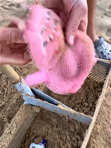 Discovering Gold Treasure on the Beach