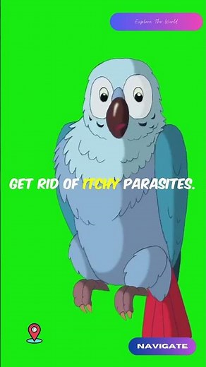 Anting I The Bizarre Bird Behavior You Won’t Believe I Navigate