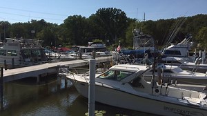Officials make proposals to deal with Asian Carp problems in the Great Lakes