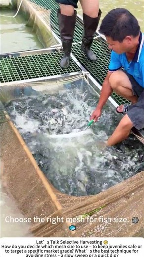 Netting Fish in a Pond – Selective Scooping 🐟🌊