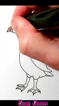 How to Draw a Puffin Bird #shorts