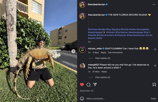 Final Iguana Boss: Florida Man Claims Record With Massive Catch