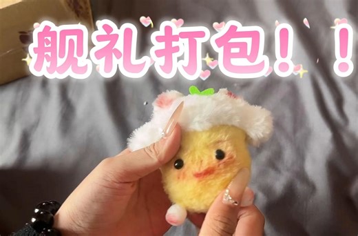 项项的舰礼打包来啦！