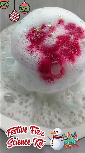 Festive Fizz Potion Science Kit