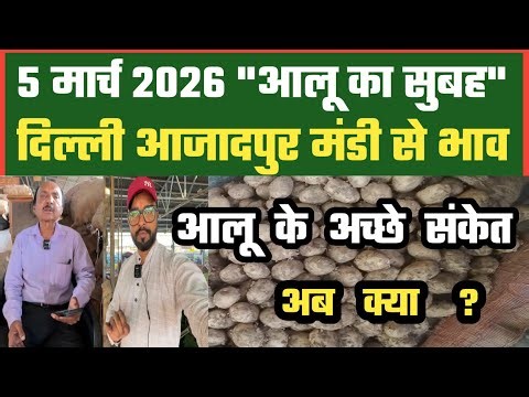 आलू में अब अच्छे संकेत क्या ? 🤔 Azadpur Delhi Mandi Today में 05-03-2026 के Potato Price DMT TV